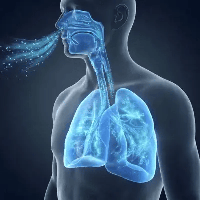 Siluetă corporală cu căi respiratorii și plămâni iluminați